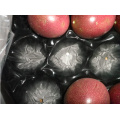 Nectarine Emballage boîte noire pour fruits